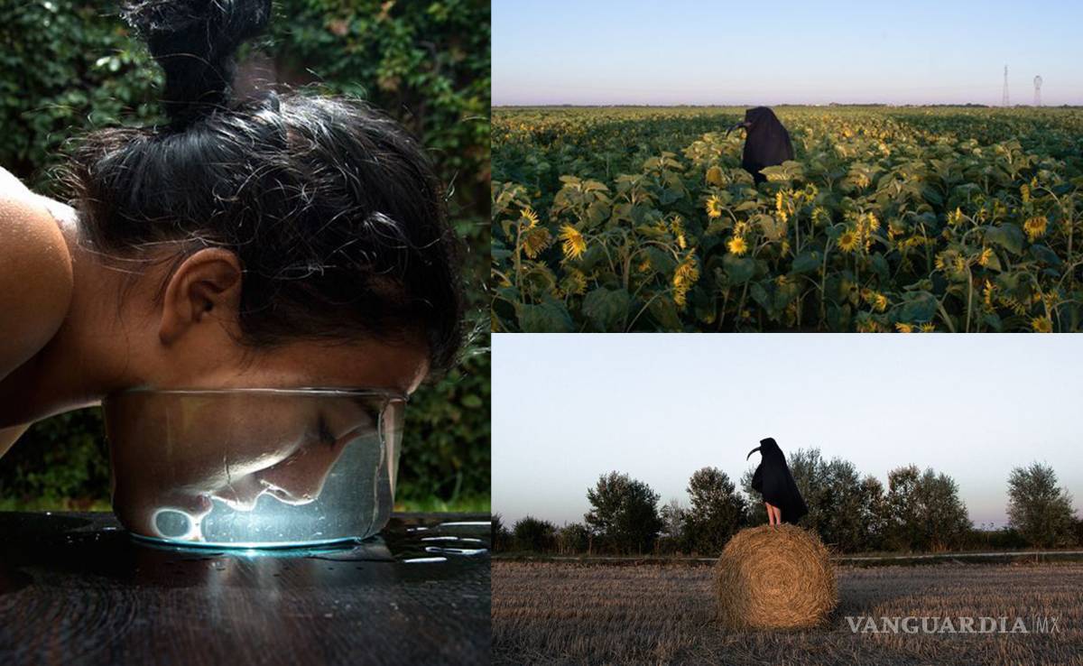 $!Aplauden libro de Liza Ambrossio, impreso en Medio Pliego