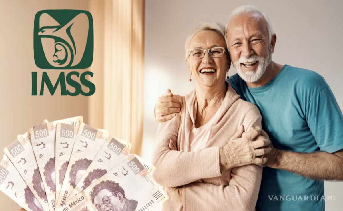 $!La pensión es una prestación económica que recibe una persona de manera periódica.
