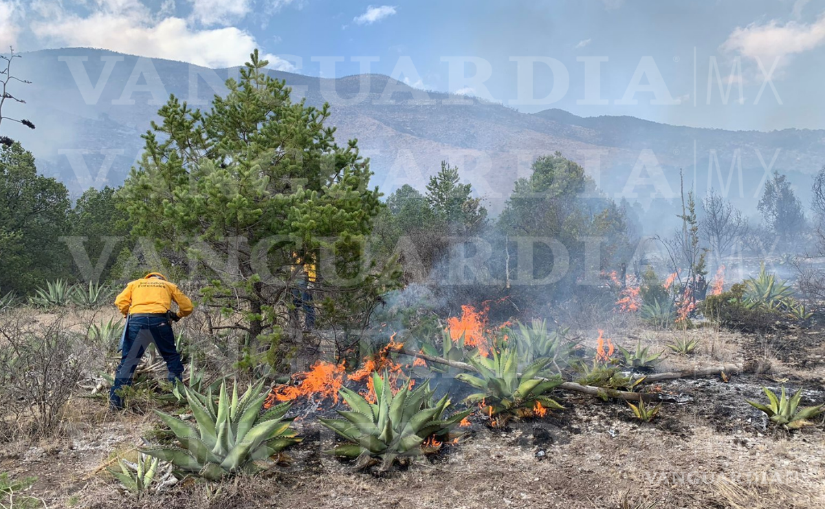 $!FOTO: OMAR SAUCEDO