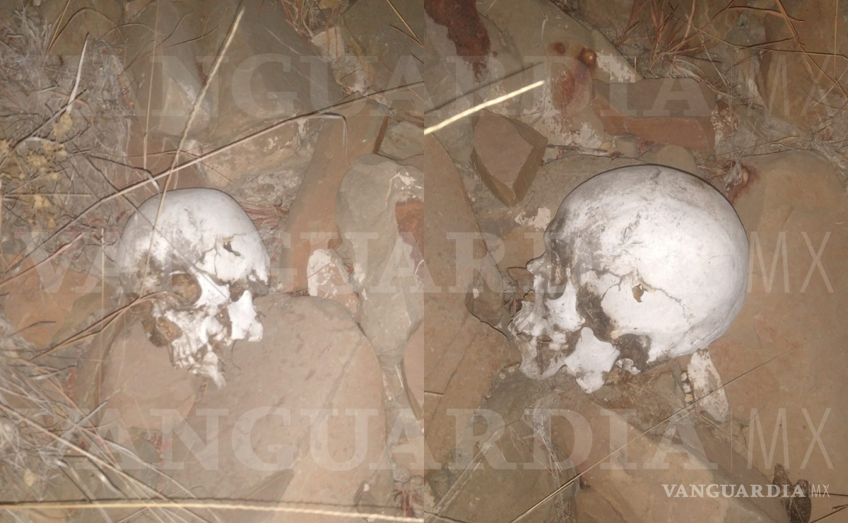 $!La osamenta fue localizada por un perro.