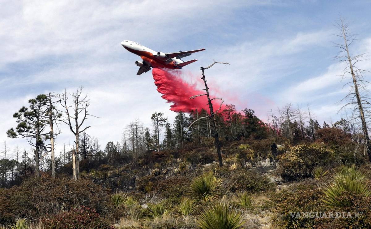 $!Un avión DC 10 realizó 22 descargas sobre las llamas, 16 de ellas directamente en territorio de Coahuila. Se utilizaron 20 horas de las 30 por las que fue contratada la aeronave.