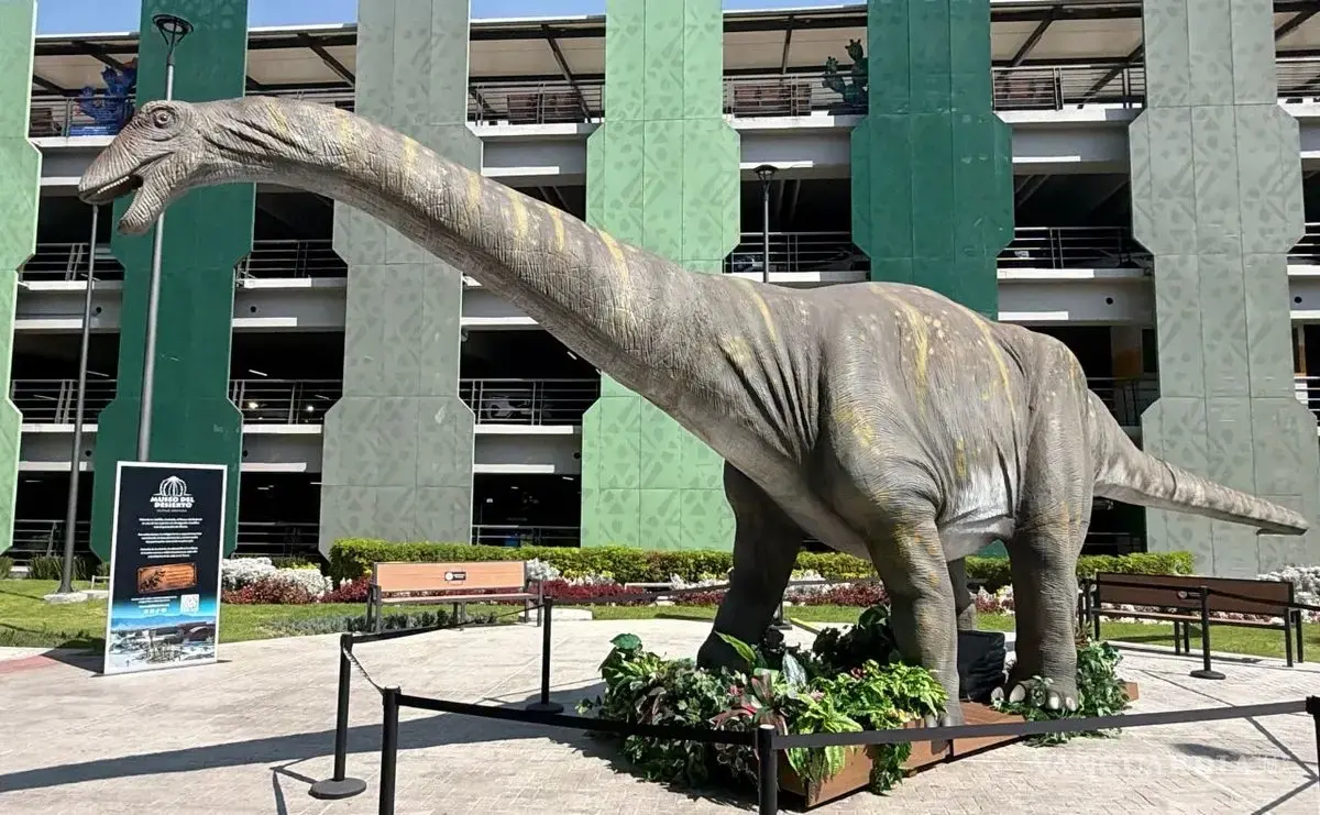 $!Los turistas nacionales y extranjeros tendrán la oportunidad de admirar la riqueza paleontológica de Coahuila.