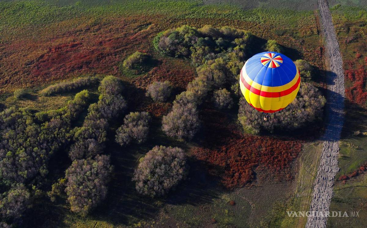 $!Fotografía de globos aerostáticos durante el 22 Festival Internacional del Globo (FIG) en León, estado de Guanajuato (México).