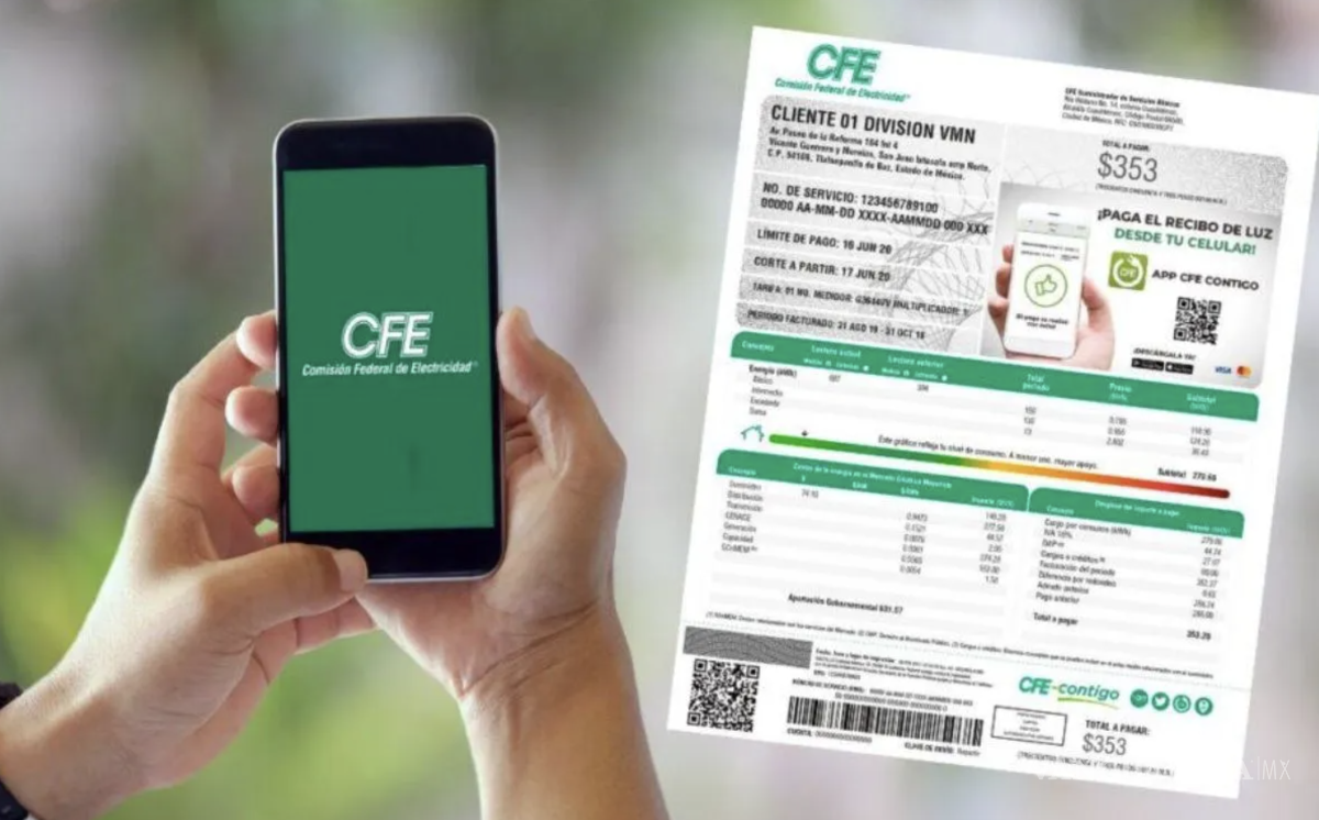 $!Antes de iniciar el proceso, es indispensable no contar con adeudos en el recibo de luz.