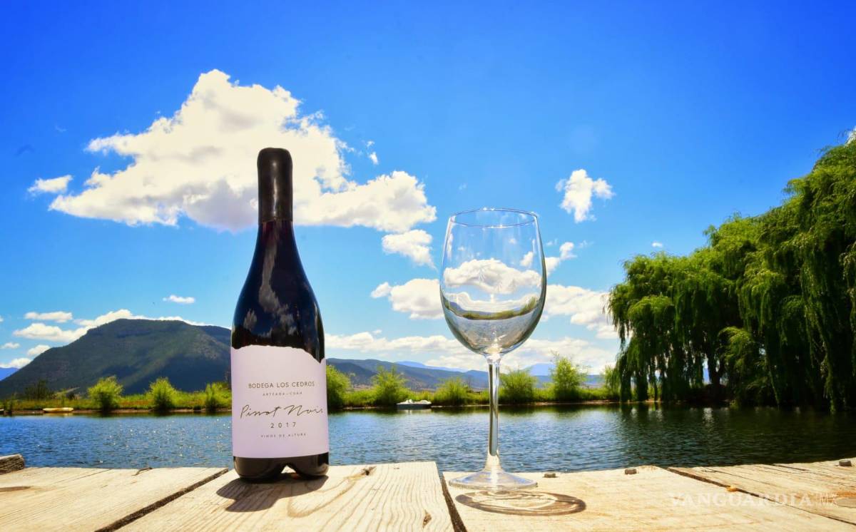 $!Invita Gobierno de Coahuila a visitar Arteaga durante las vacaciones de verano