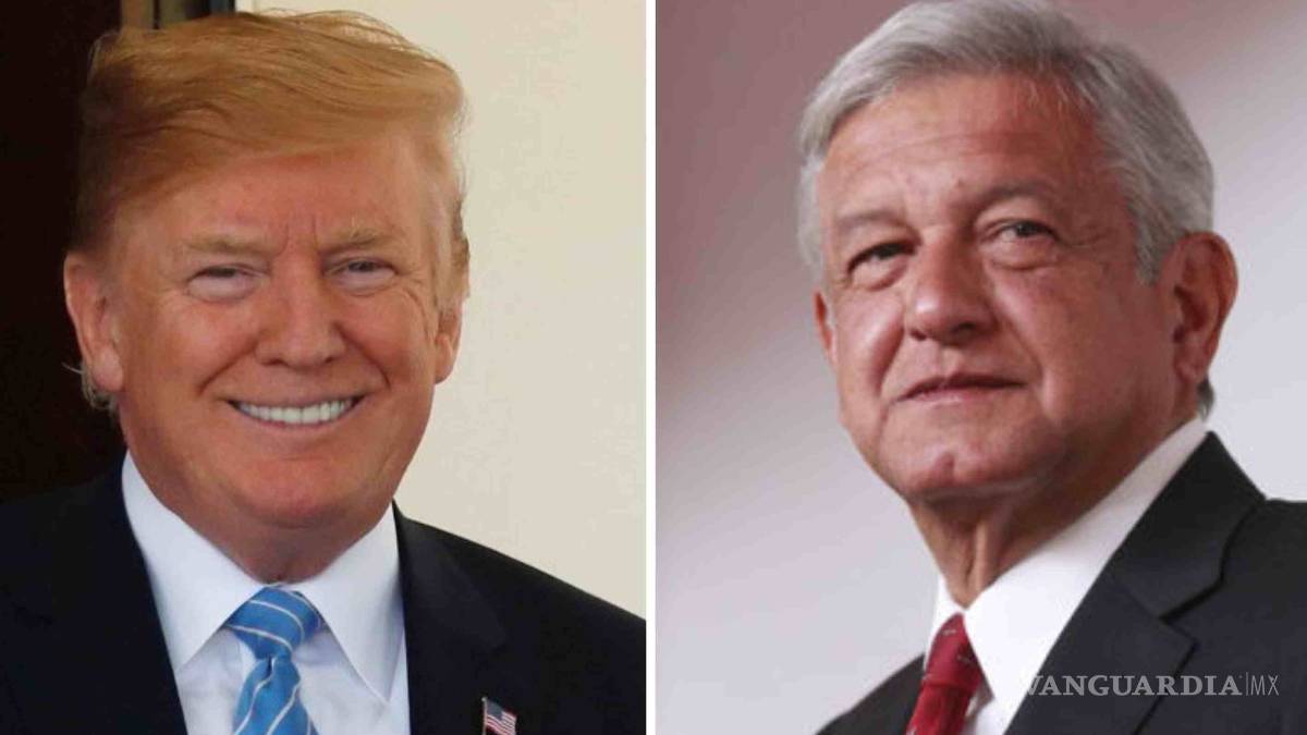 Trump asistirá a la toma de protesta de AMLO: Polevnsky