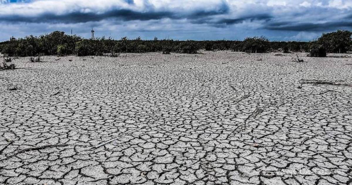 La sequía en el mundo, y en México, aparece como algo que disfrazan como imposible