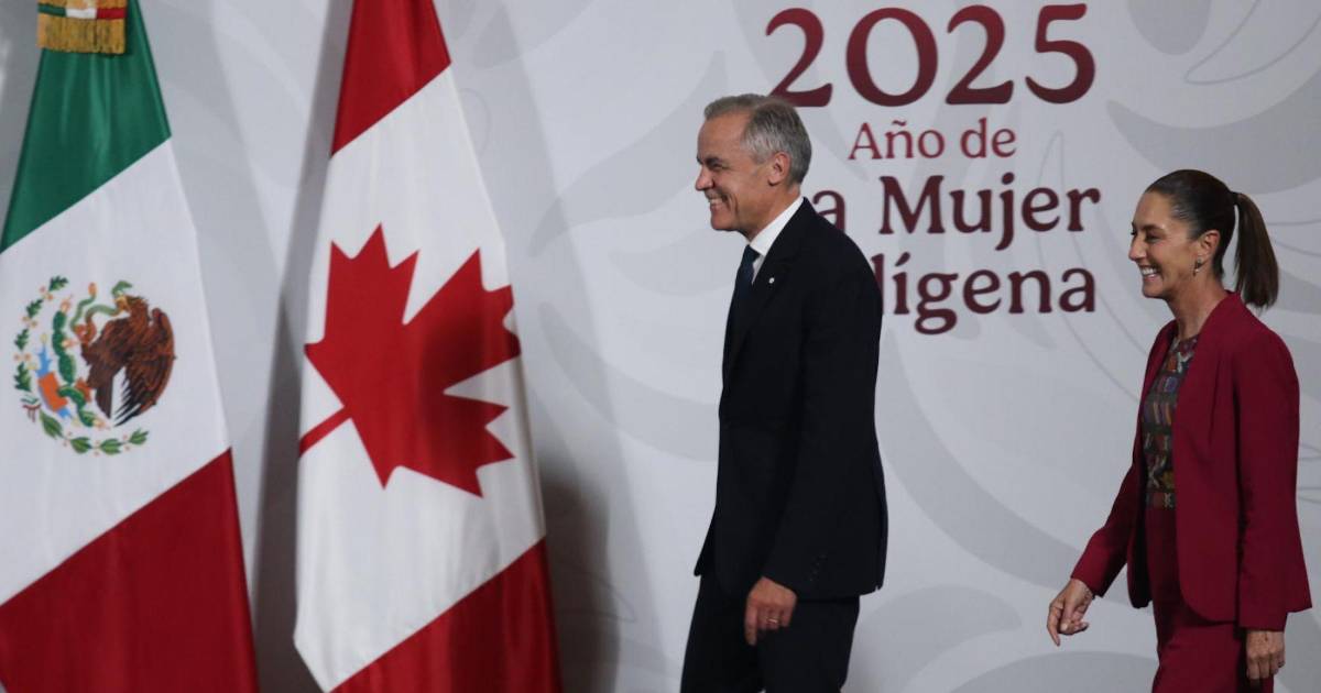 La militancia del sistema