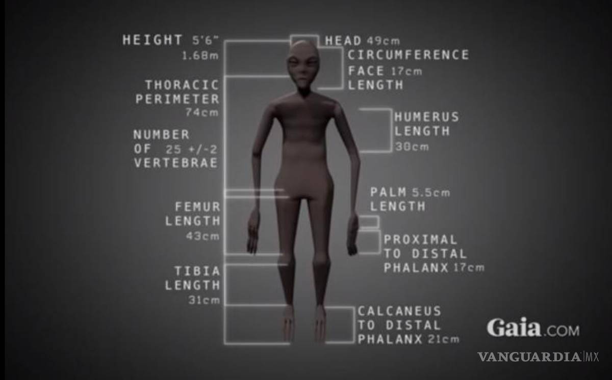 $!Descubren polémica momia "extraterrestre" en Perú
