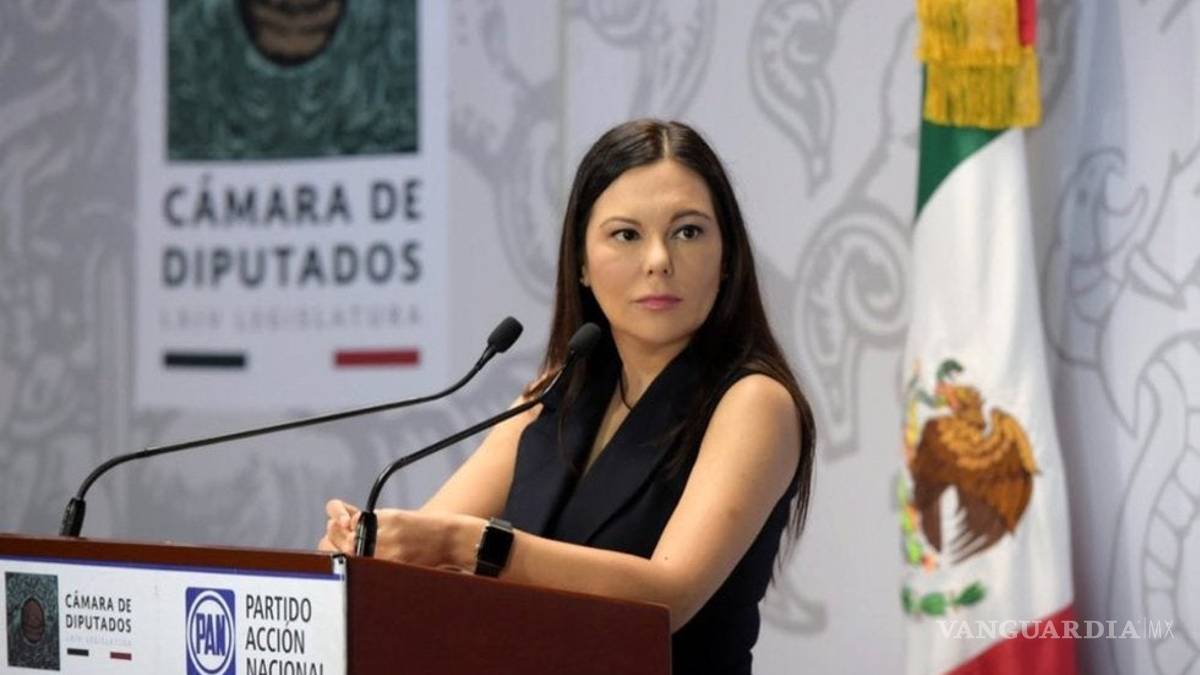 Rechazan a Laura Rojas para presidir la Cámara de Diputados