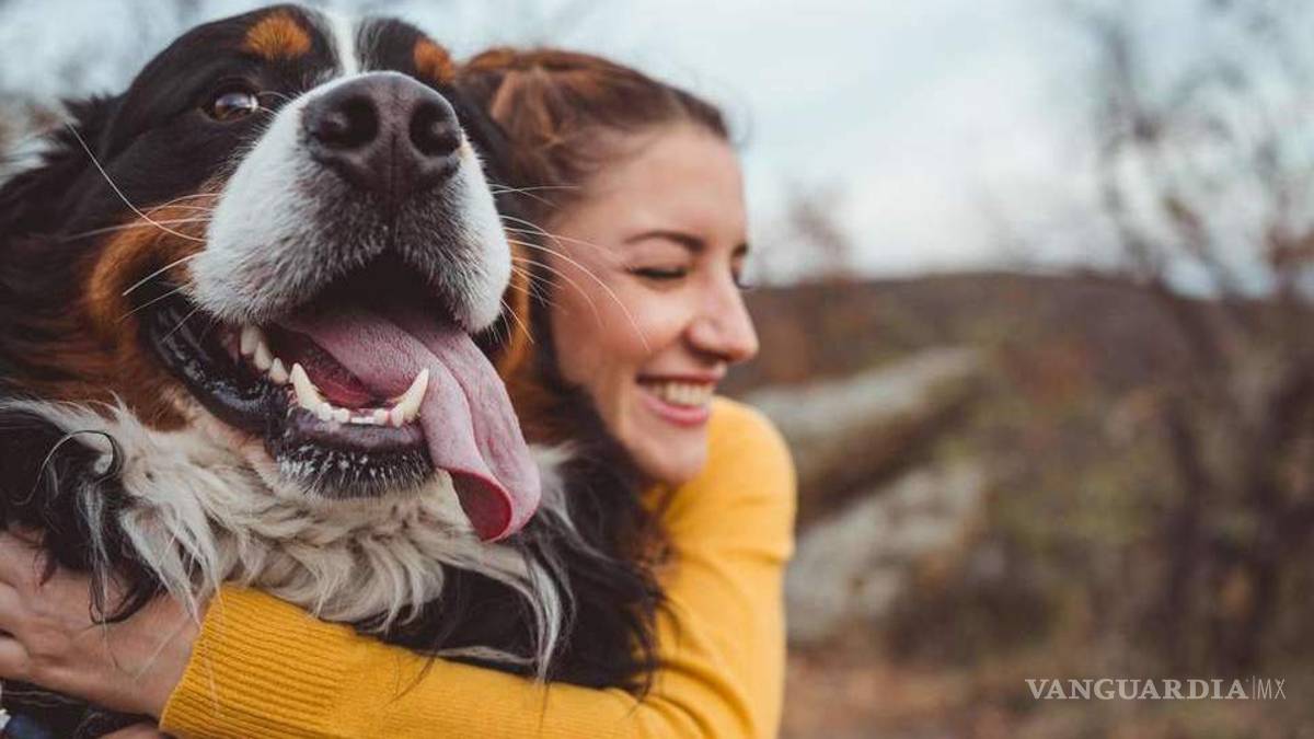 Hoy es el Día Internacional del Perro, dueños gastan cada vez más en sus mascotas