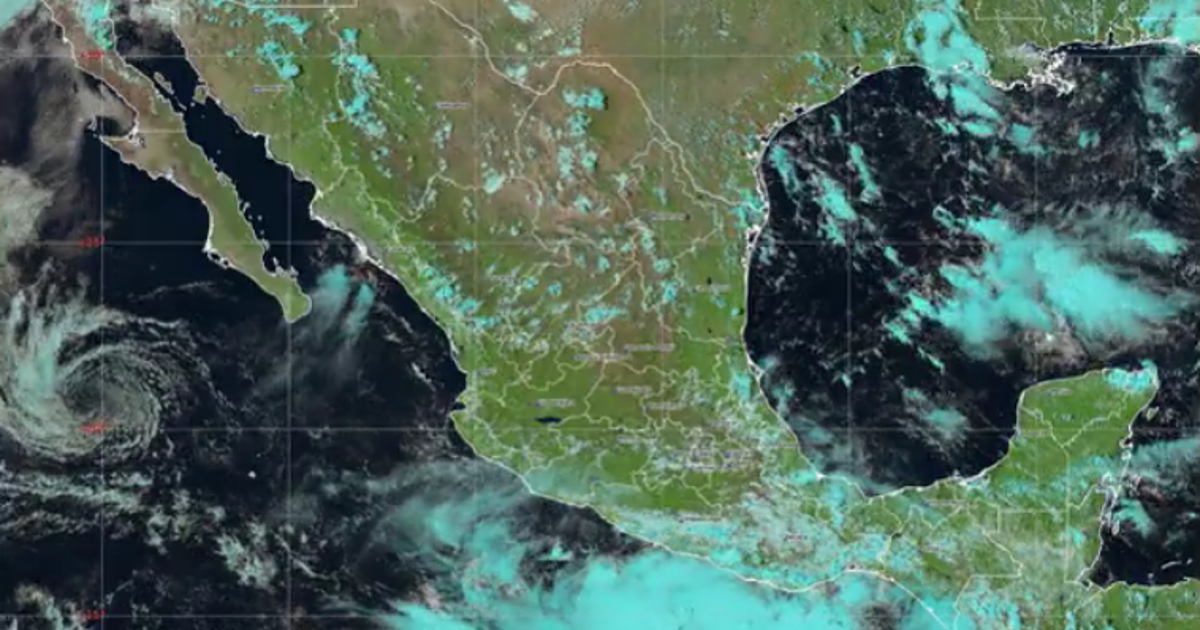 Conagua alerta por desarrollo de tormenta tropical ‘Narda’ y ‘Gabrielle’ como huracán categoría 1