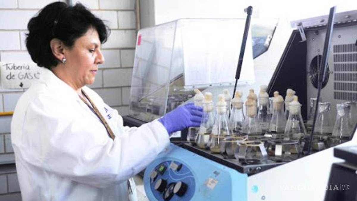 Científicos mexicanos descifran genoma de virus SARS-CoV-2