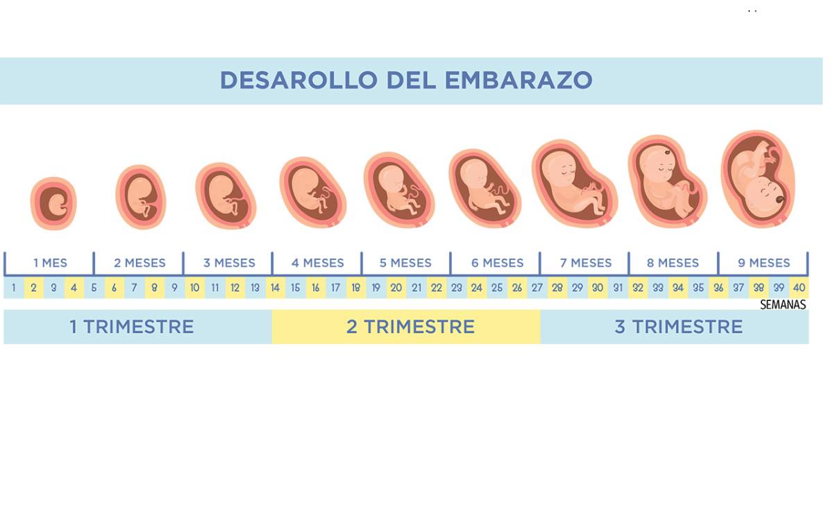 $!Otros síntomas del embarazo