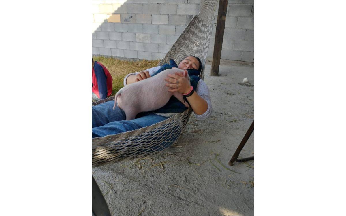 $!Esta no es la primera vez que Bruno “hace de las suyas”.