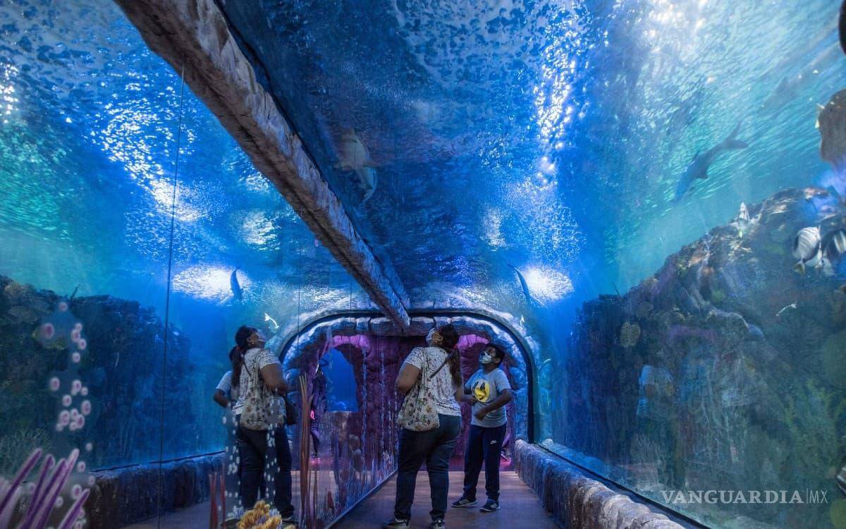 $!Asfixia por sumersión fue como se determinó la causa de muerte de Montserrat.