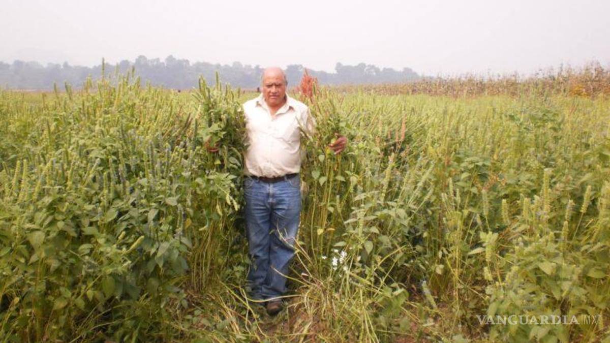 Asesinan a ambientalista en el Edomex, es el segundo en apenas unos días