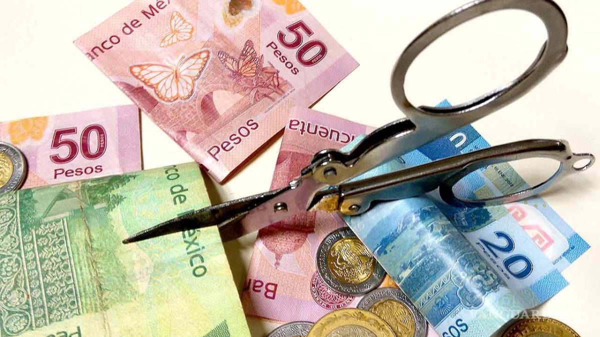 Recortan 1.5 mdp apoyos para ONGs