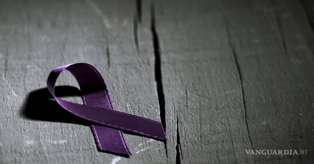 Demandan ‘hogares de transición post refugio’ en Saltillo para mujeres ...