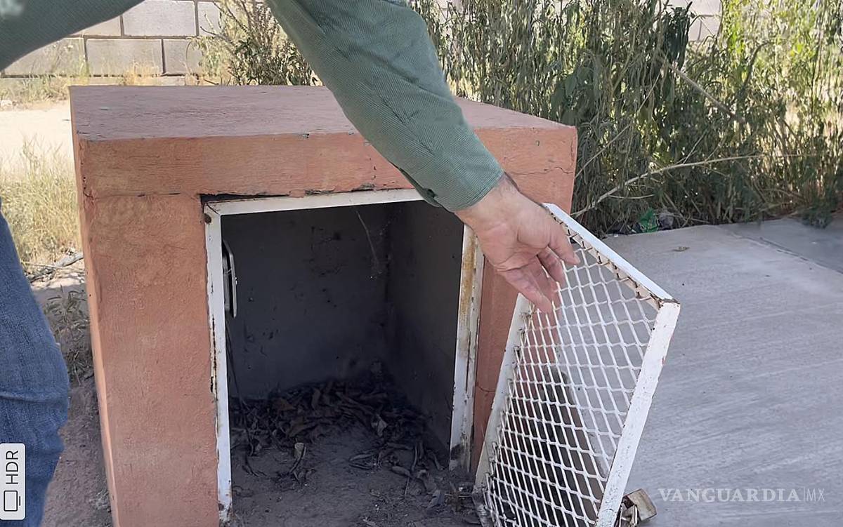 $!Regreso a clases 2021: una decisión apresurada