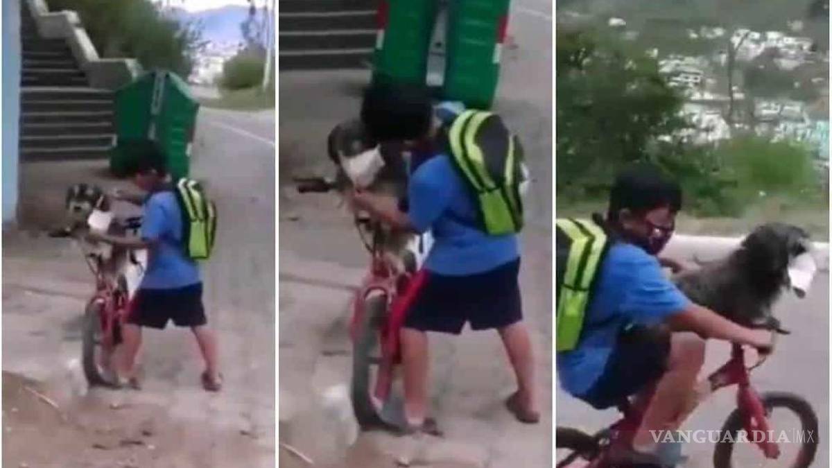 Niño protege a su perrito del COVID-19 con cubrebocas y se hace viral