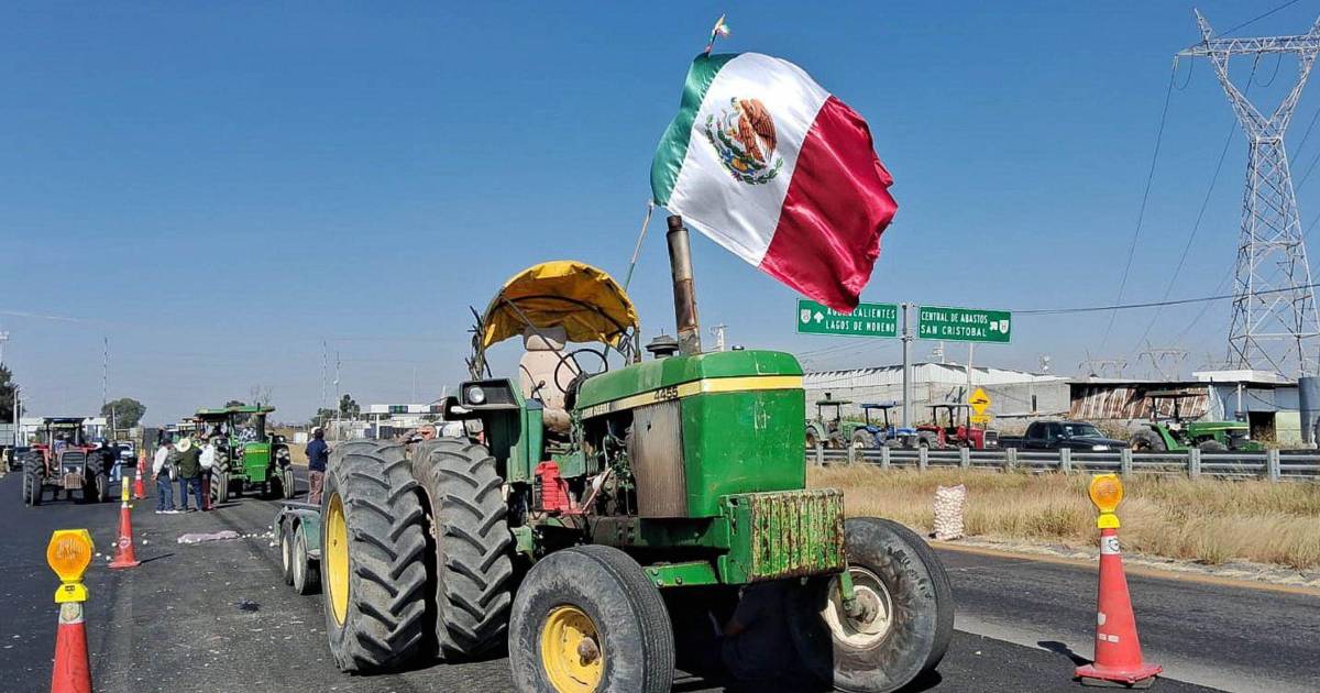 Campesinos del Bajío acusan a Sader de ‘simulación’: exigen 7 mil 200 pesos por tonelada