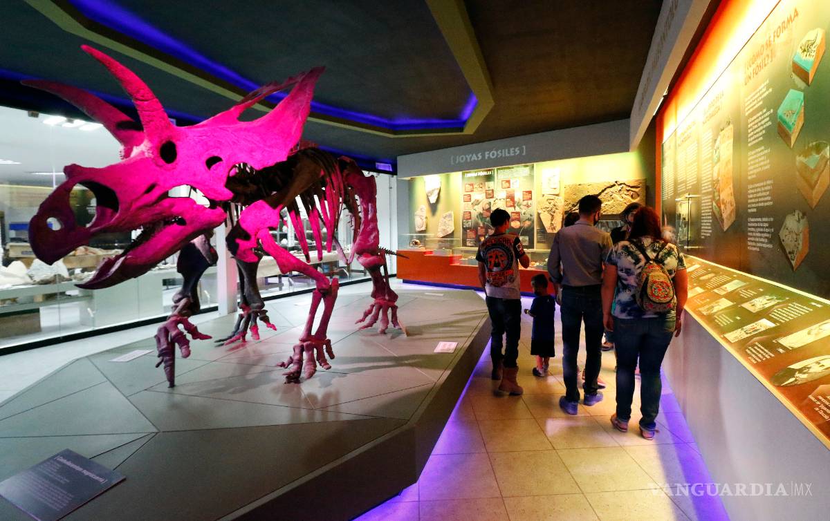 $!Pueden saltillenses realizar visitas virtuales a museos