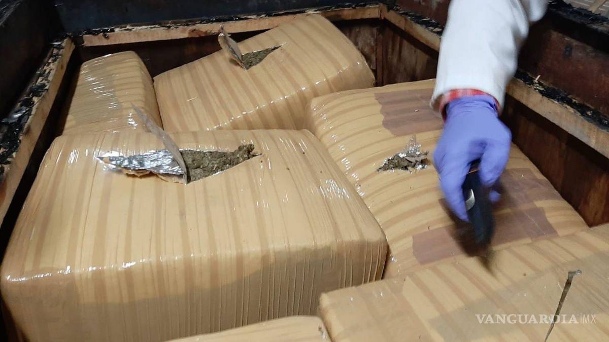 Le dan 8 años de cárcel por transportar marihuana en una empresa de paquetería, en NL