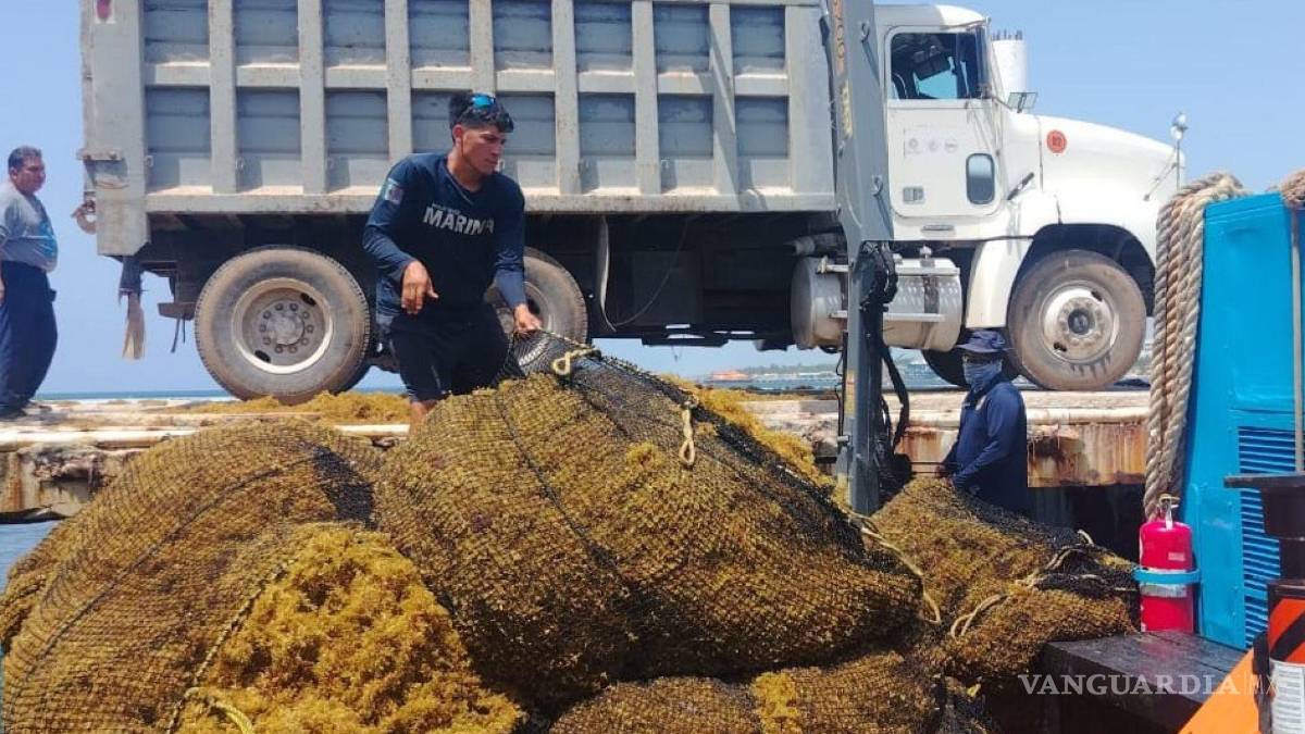 Japón y México se unen contra el sargazo: Anuncian seminario en Cancún y Playa del Carmen