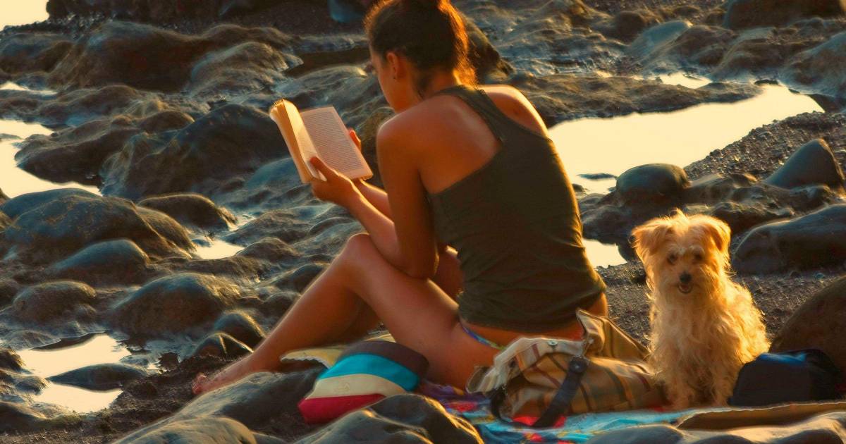 Cultura y Pop: Novelas