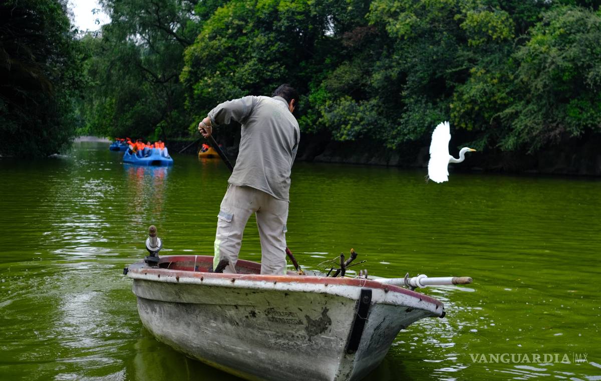 $!Bosque de Chapultepec es el mejor parque urbano del mundo