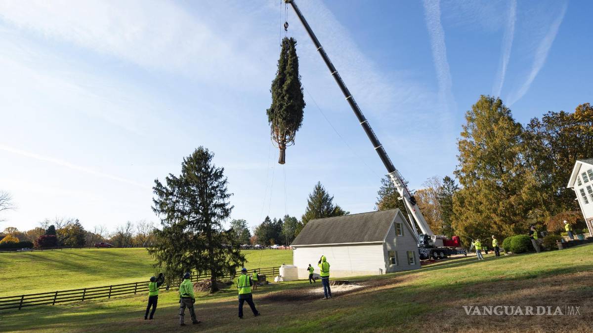 ¡Ya es Navidad! Llega a Nueva York árbol de Rockefeller Center