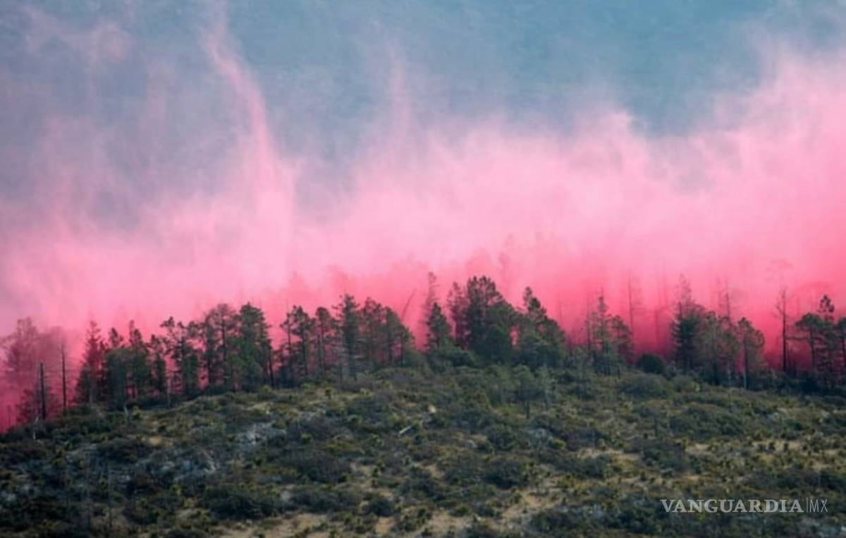 $!Con la ayuda de un avión DC -10 controlan el incendio en Arteaga (fotos)
