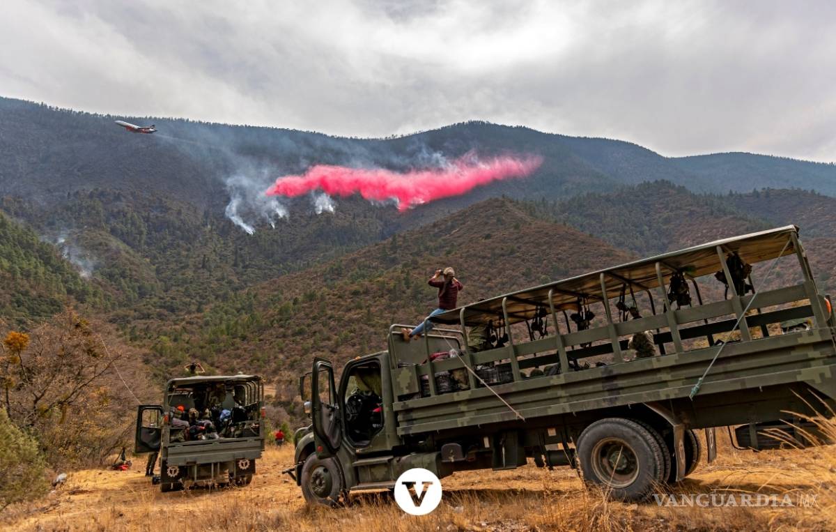 $!Con la ayuda de un avión DC -10 controlan el incendio en Arteaga (fotos)