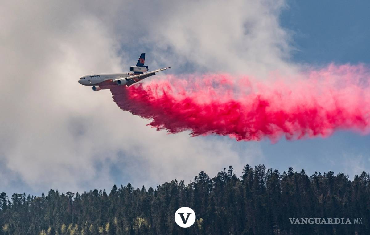 $!Con la ayuda de un avión DC -10 controlan el incendio en Arteaga (fotos)