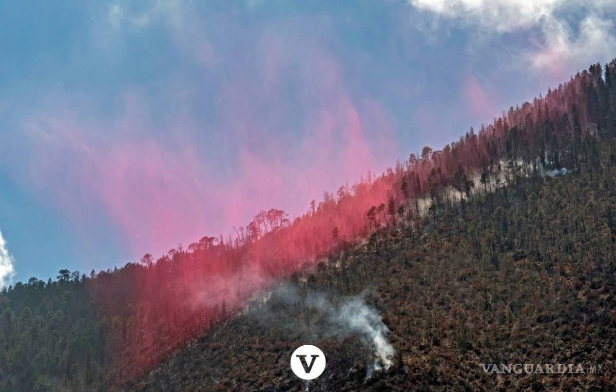 $!Con la ayuda de un avión DC -10 controlan el incendio en Arteaga (fotos)