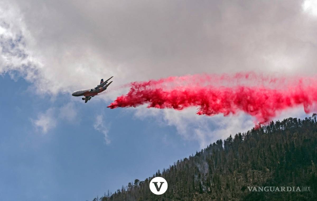 $!Con la ayuda de un avión DC -10 controlan el incendio en Arteaga (fotos)