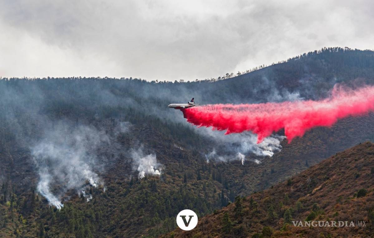 $!Con la ayuda de un avión DC -10 controlan el incendio en Arteaga (fotos)