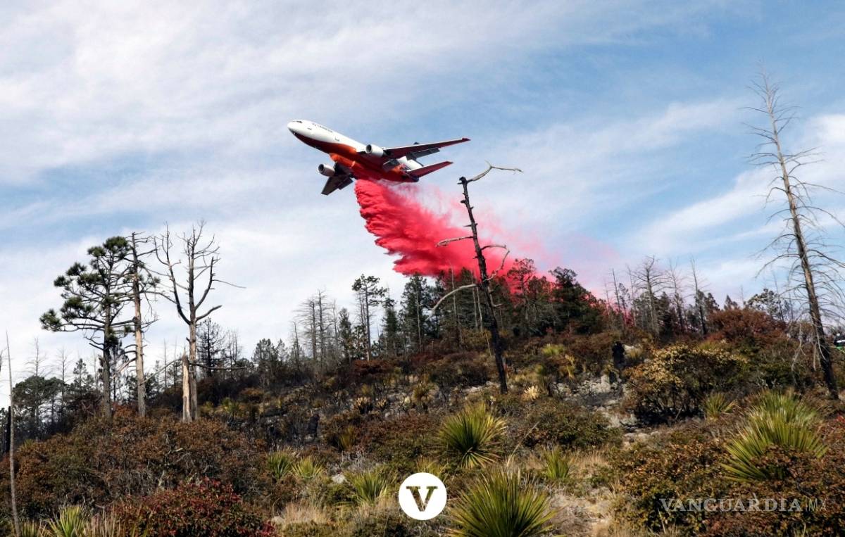 $!Con la ayuda de un avión DC -10 controlan el incendio en Arteaga (fotos)