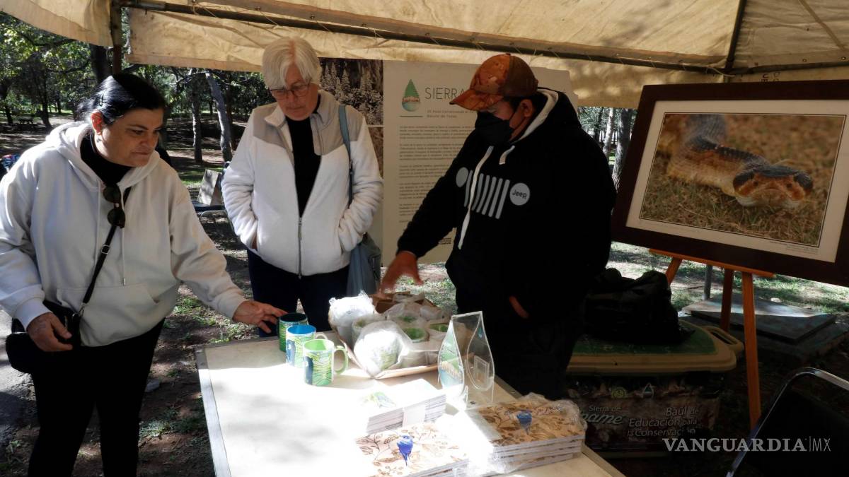 Organiza Sema bazar segunda oportunidad para el oso negro