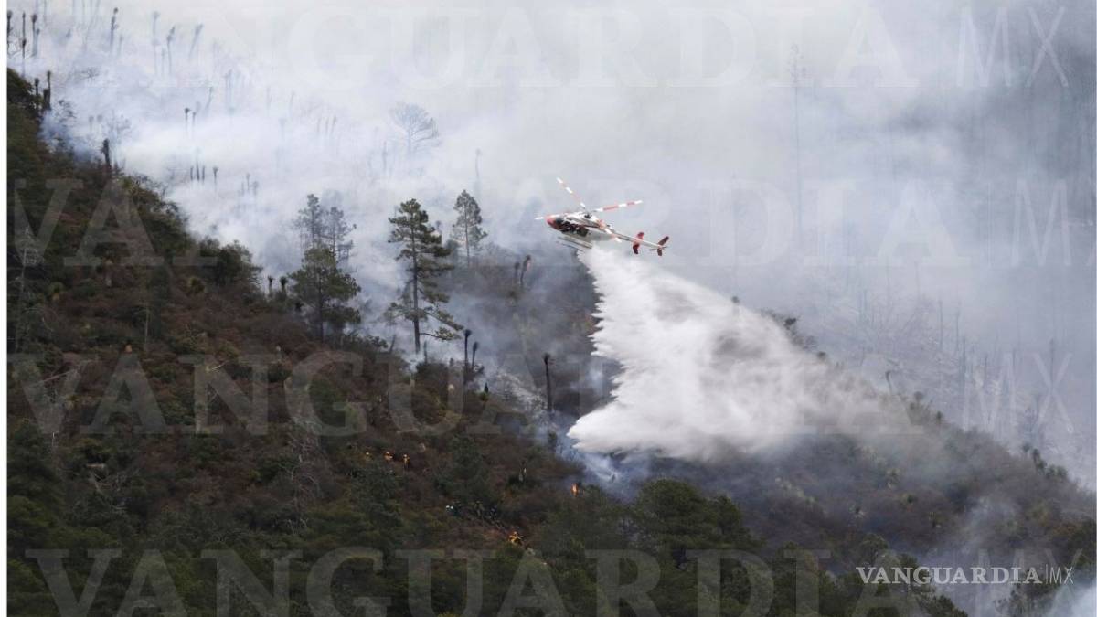 Incendio en La Pinalosa registra un 45% de control