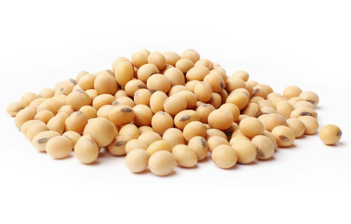 $!Soya: El frijol de los mitos