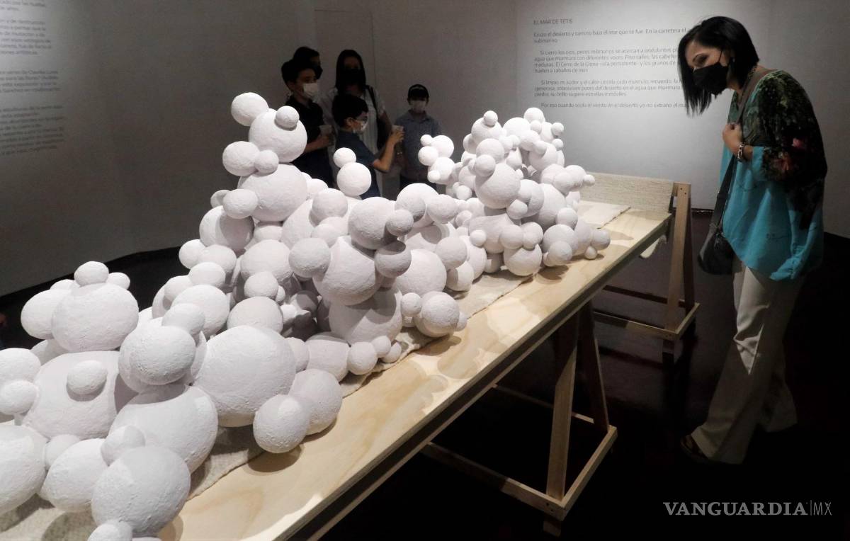 $!Los Fuentes Quezada exploran el pasado acuático de Coahuila