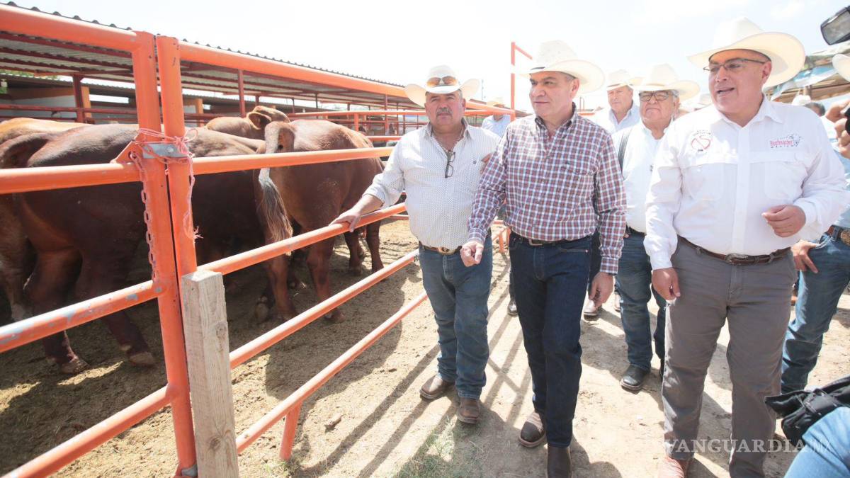 Buscan acreditar a productores de Región Centro para exportar ganado a Estados Unidos