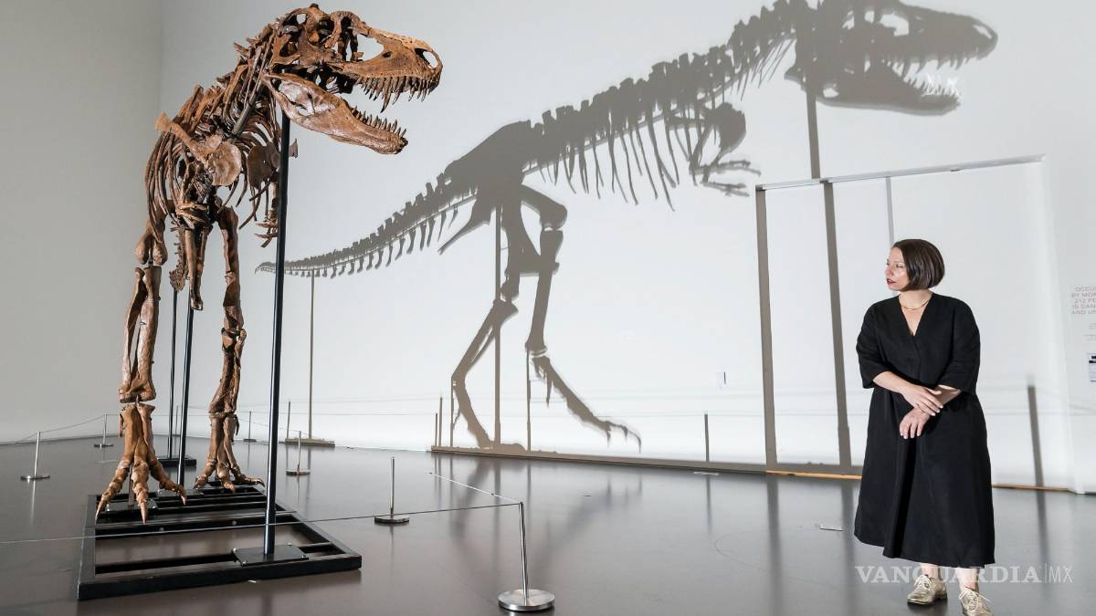 Subastan el esqueleto de un dinosaurio de hace 77 millones de años