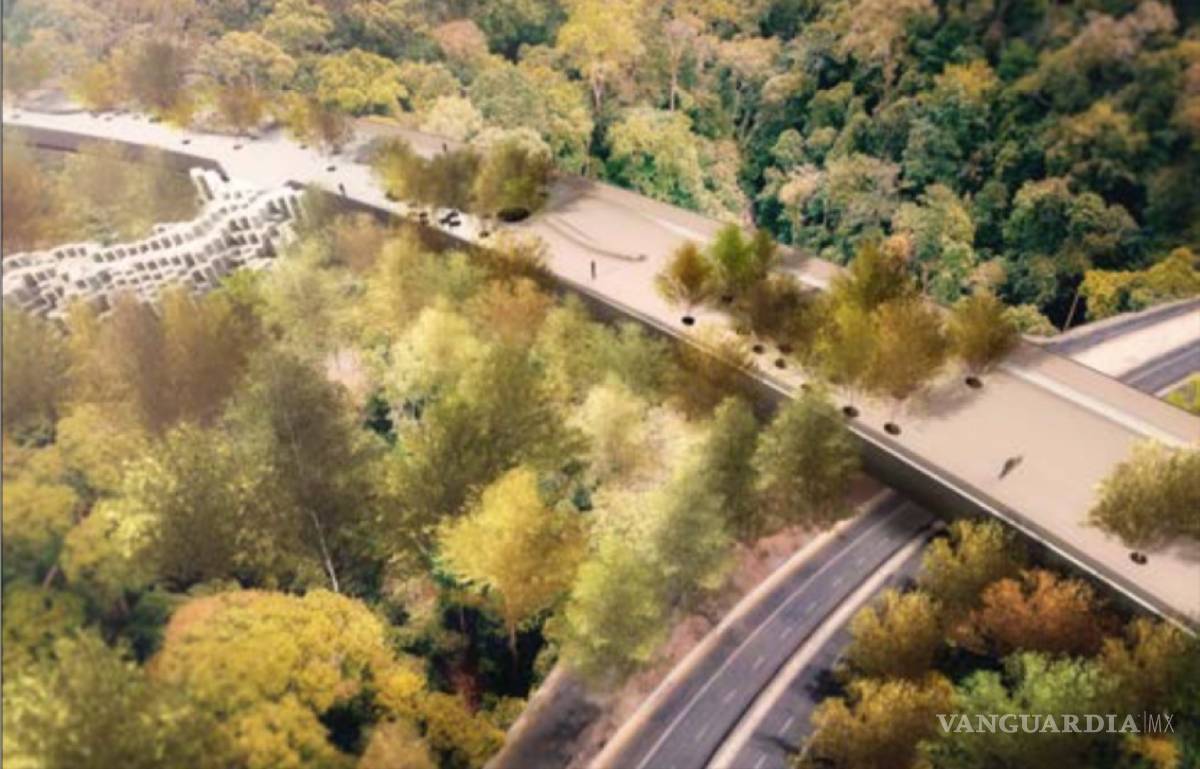 $!"Vean más allá de la Ciudad de México", piden diputados a Alejandra Frausto&nbsp;