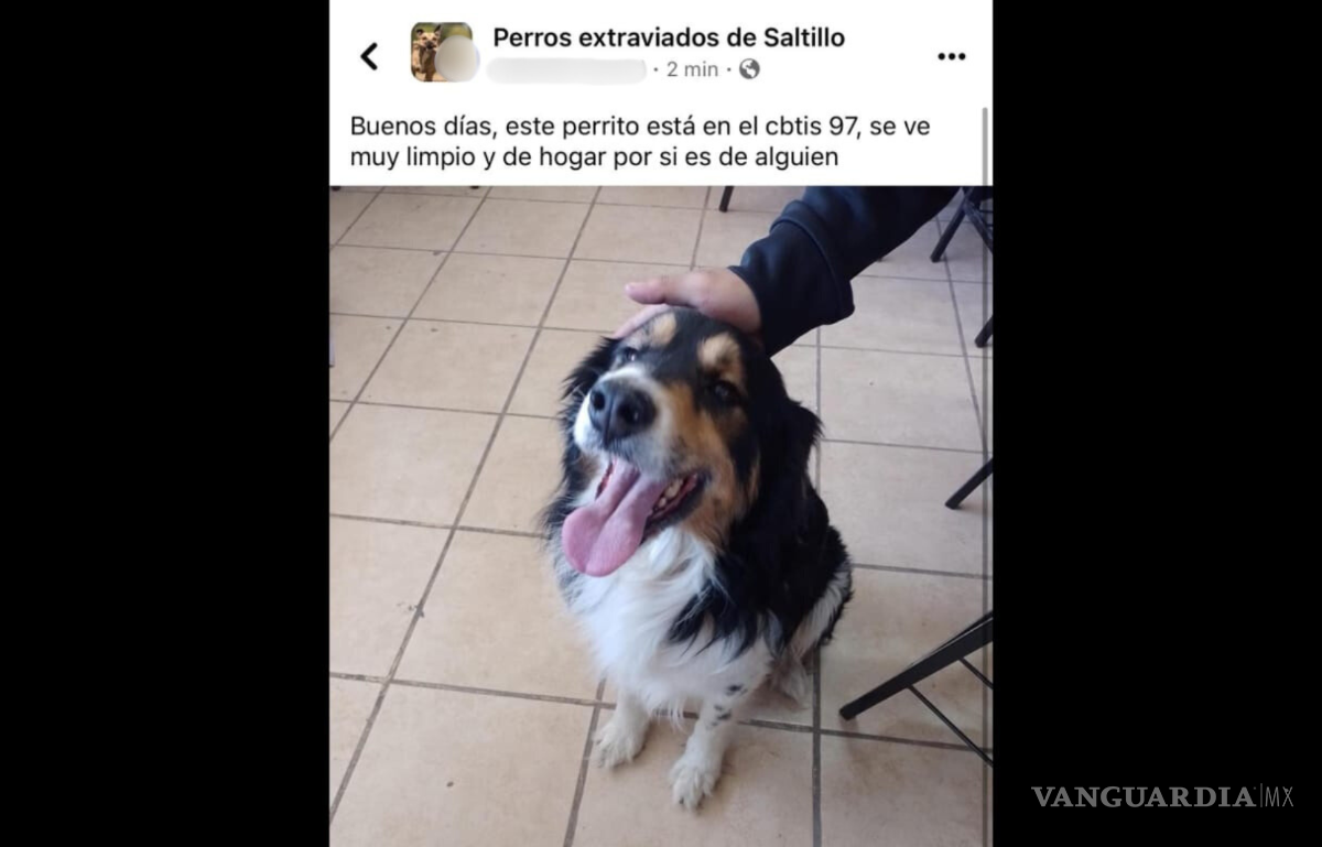 $!Perrito se escapa para ‘terminar el bachillerato’; alumnos del CBTis lo rescatan y entregan a su familia en Saltillo