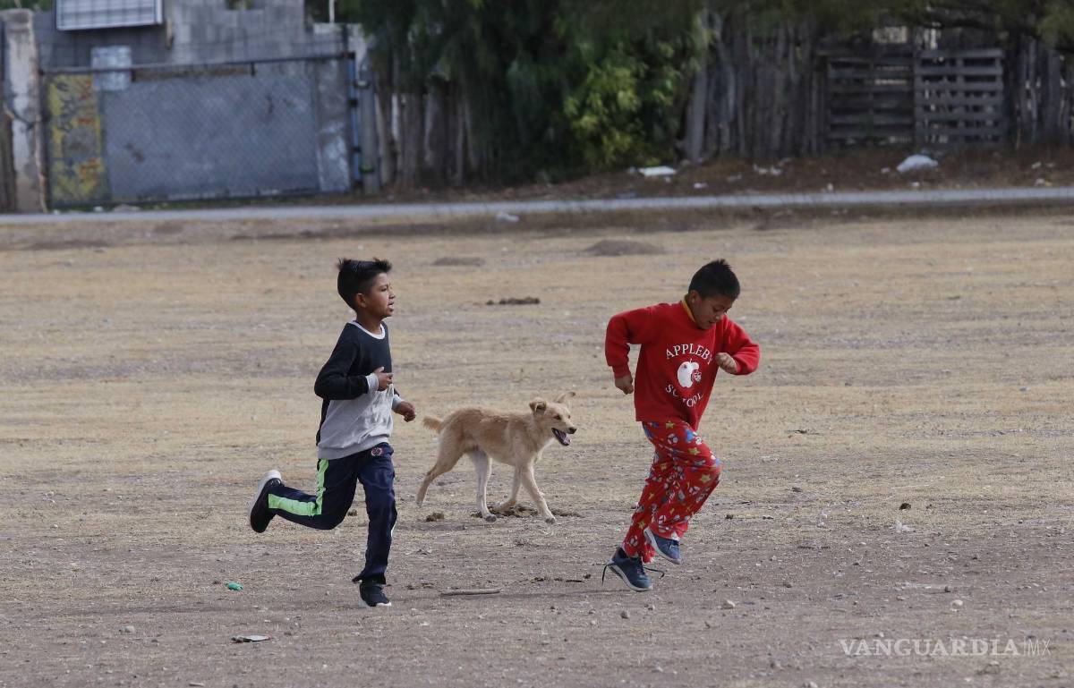 $!Saltillo: ¿Qué anhela un niño que espera la Navidad entre pinos de madera y esferas recicladas?