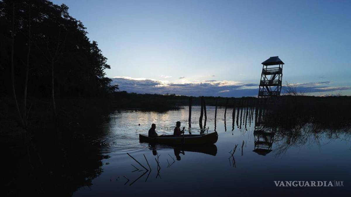 La selva de Calakmul, el nuevo foco rojo del Tren Maya