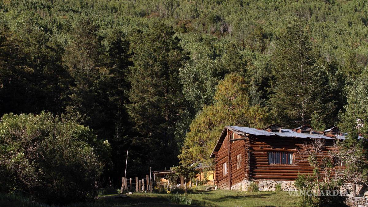 Vigilarán las 24 horas para evitar incendios forestales